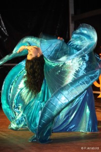 8398-brandons2011