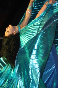 8399-brandons2011